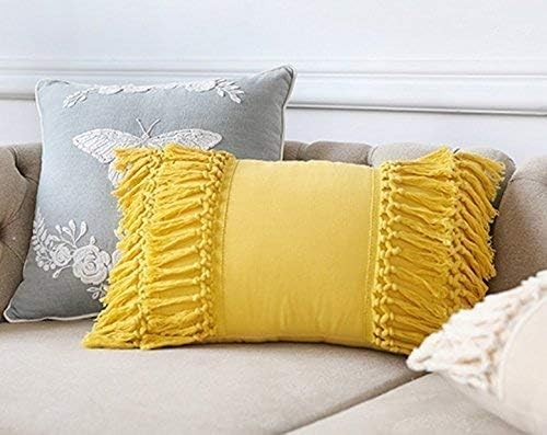 Fringed Pillow Covers